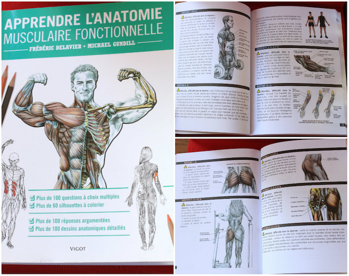 Livre Apprendre l'anatomie musculaire fonctionnelle